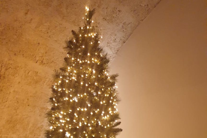 PHOTO-2025-11-13-23-00-15-1-aspect-ratio-864-578