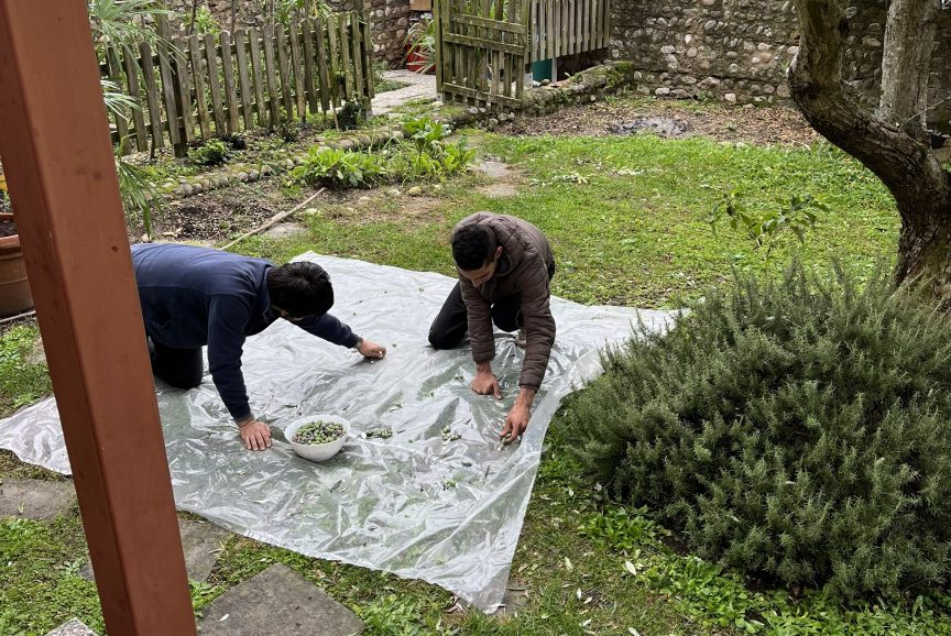 mantova11-scaled-aspect-ratio-864-578