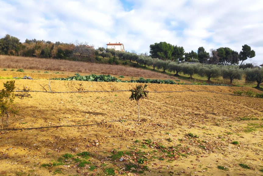 IMG_20251227_131006-scaled-aspect-ratio-864-578