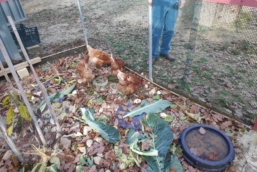 IMG_20251227_131257_1-scaled-aspect-ratio-864-578