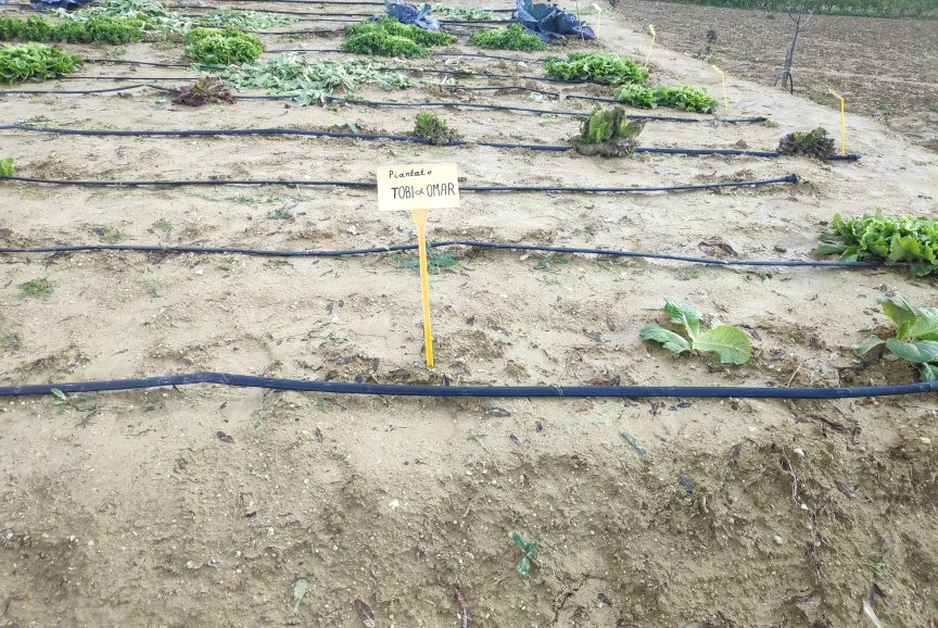 IMG_20251227_133213-scaled-aspect-ratio-864-578